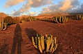 2016-11-08_180050 gran-canaria-2016